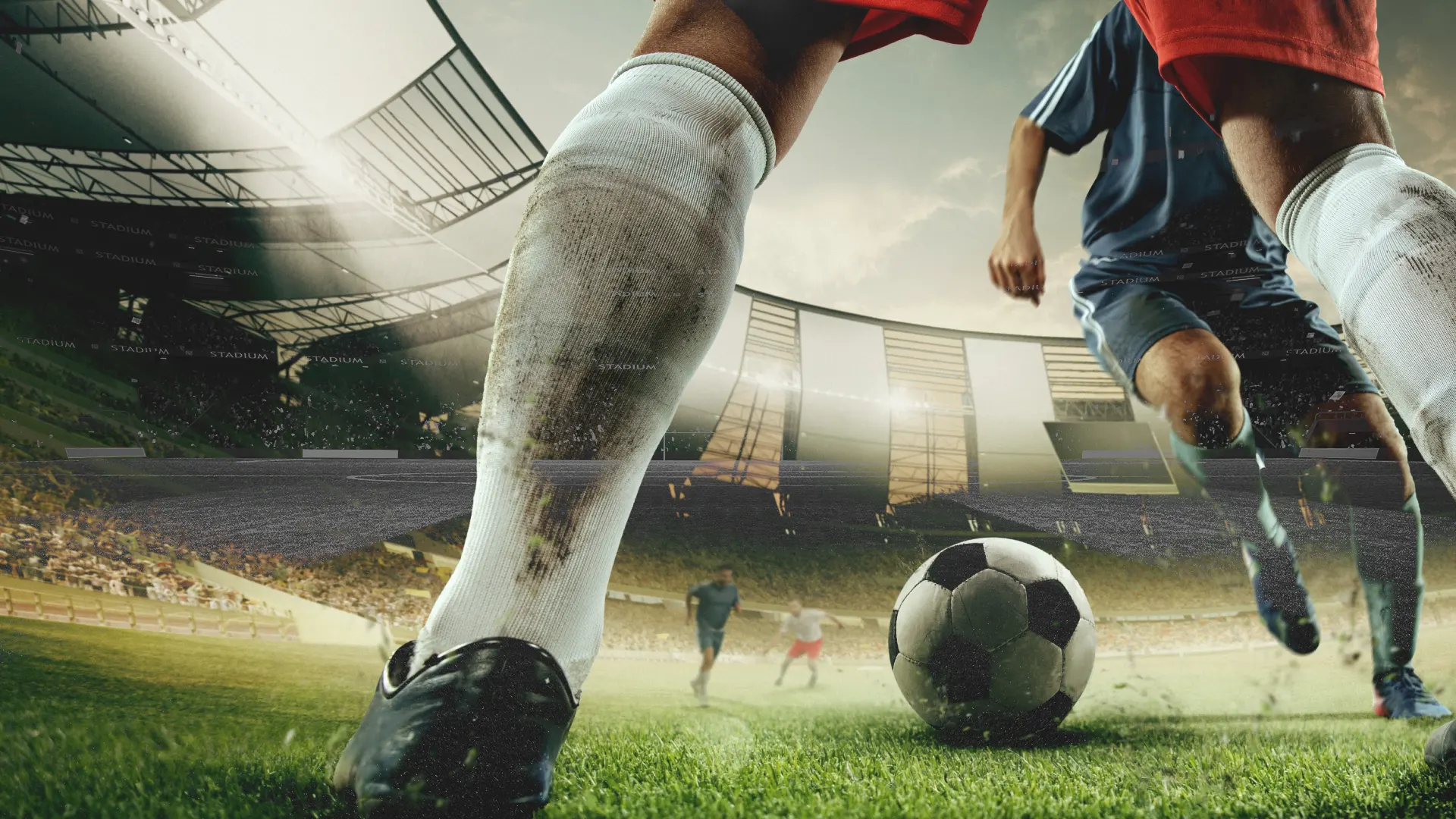 imagem ilustrativa Como apostar na Libertadores